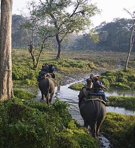 5 Reserves and Natinal Parks in West Bengal