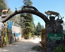 15 Places Visit in Shimla