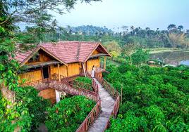 Places to see in Kerala