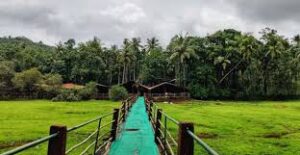 15 Activities to do in Goa